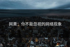 网黄：你不能忽视的网络现象