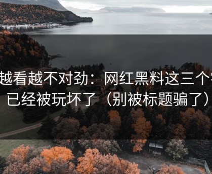 我越看越不对劲：网红黑料这三个字，已经被玩坏了（别被标题骗了）