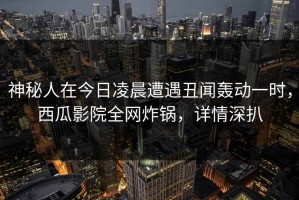 神秘人在今日凌晨遭遇丑闻轰动一时，西瓜影院全网炸锅，详情深扒