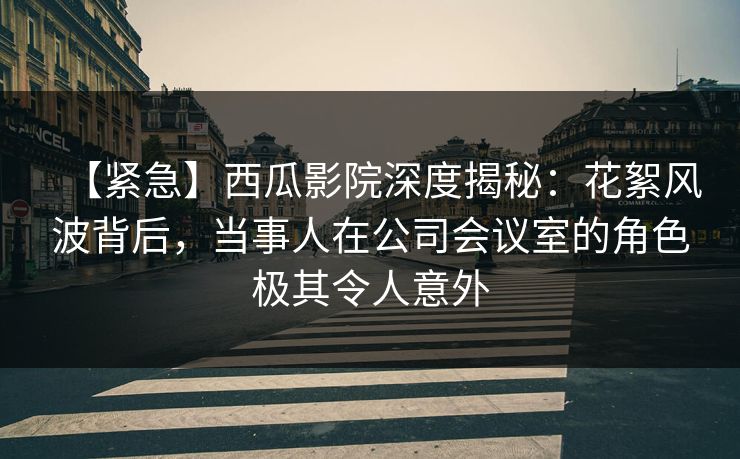 【紧急】西瓜影院深度揭秘：花絮风波背后，当事人在公司会议室的角色极其令人意外