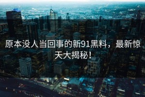 原本没人当回事的新91黑料，最新惊天大揭秘！